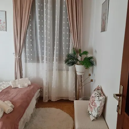 Pitypang Tiszafüred