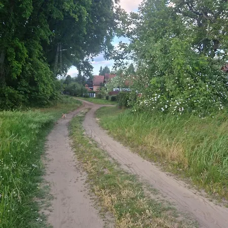 Pitypang Ferienhaus Tiszafüred