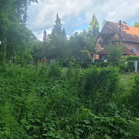 Pitypang Ferienhaus *